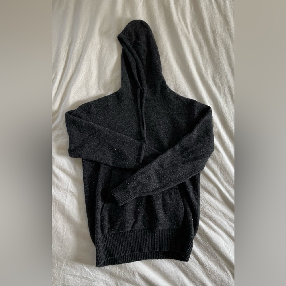 Everlane Felted Merino Wool Hoodie